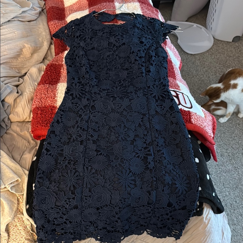 Elegant Navy Lace Dress